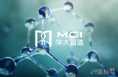 点击查看