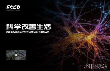 点击查看