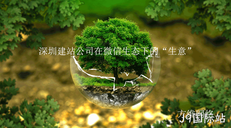 深圳建站公司微信生态