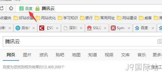 HTTPS 公司名显示2