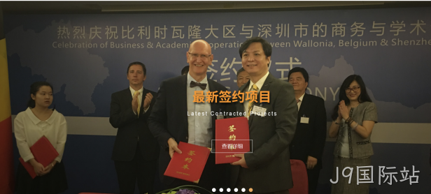 网站案例