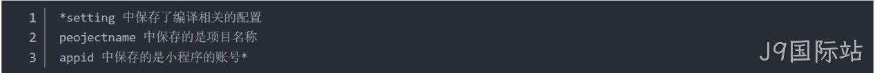  JSON 配置文件