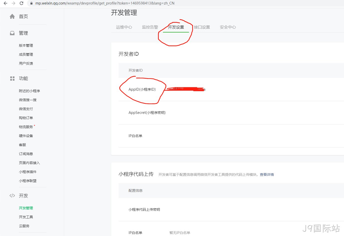 开发设置