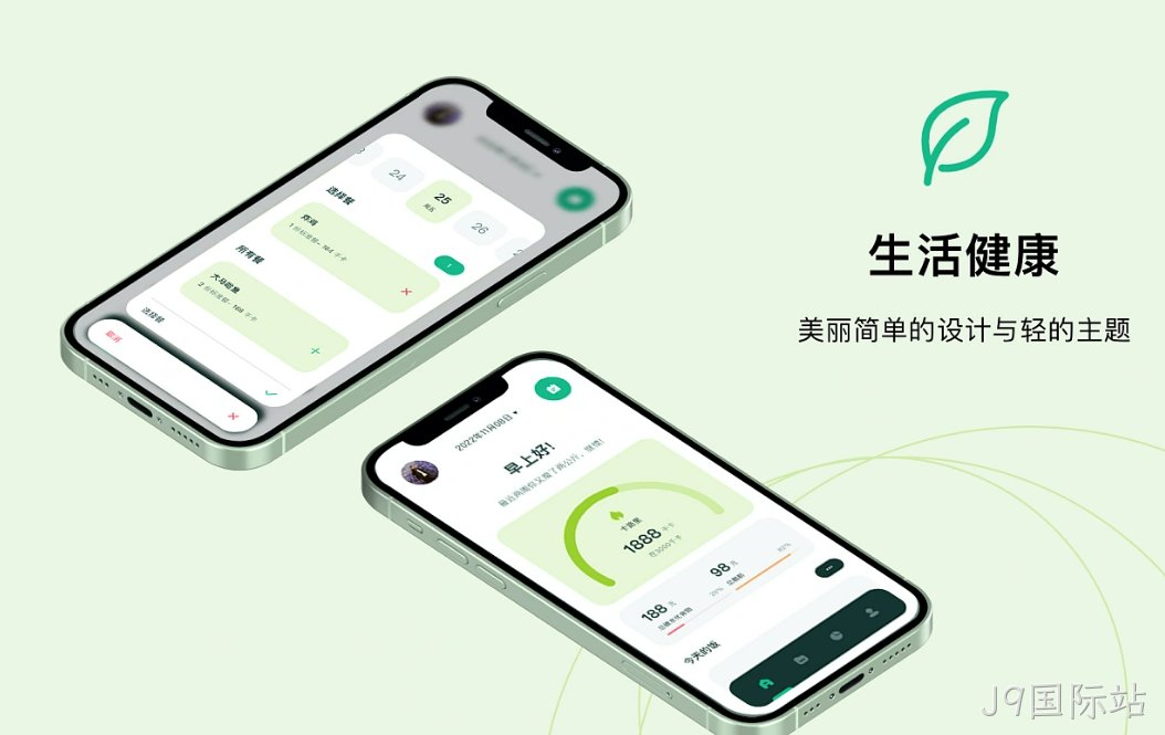 网站设计