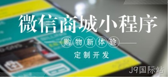 定制开发