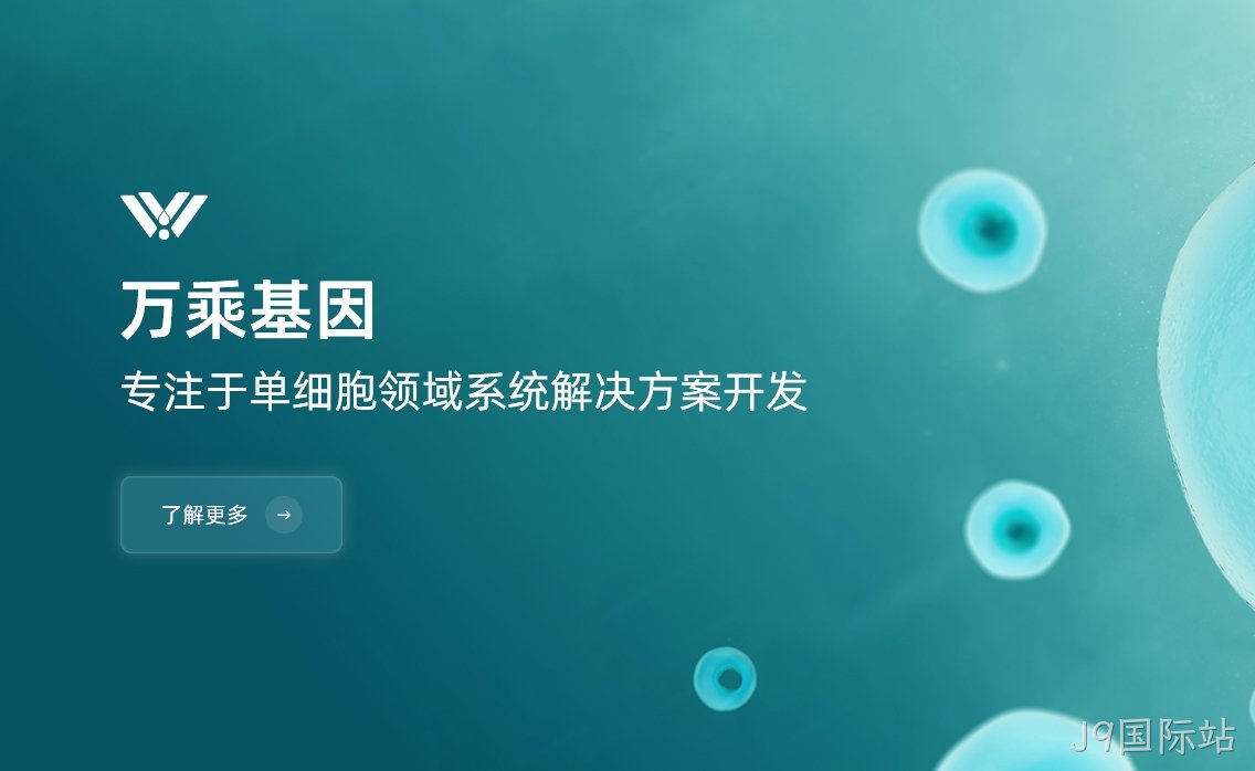基因网站建设