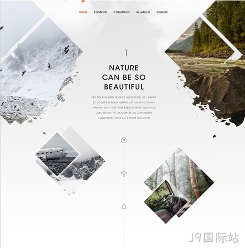 网站建设文字