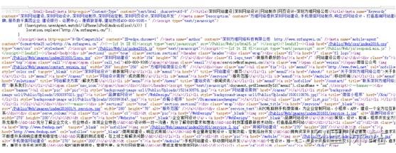 网站代码检测